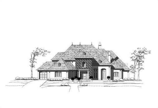 Large Image
