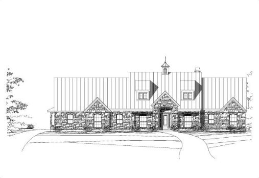 Large Image