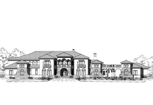 Large Image