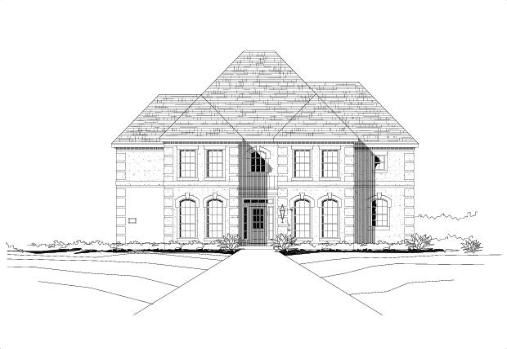 Large Image