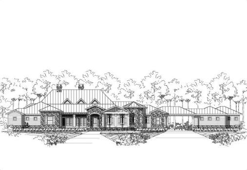 Large Image