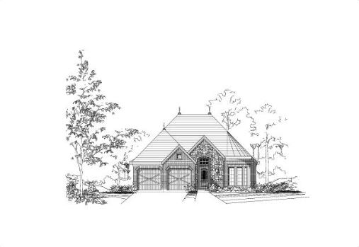 Large Image
