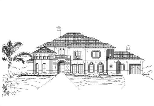 Large Image