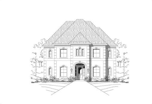 Large Image