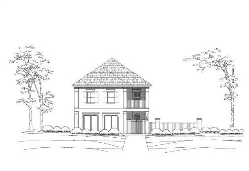 Large Image