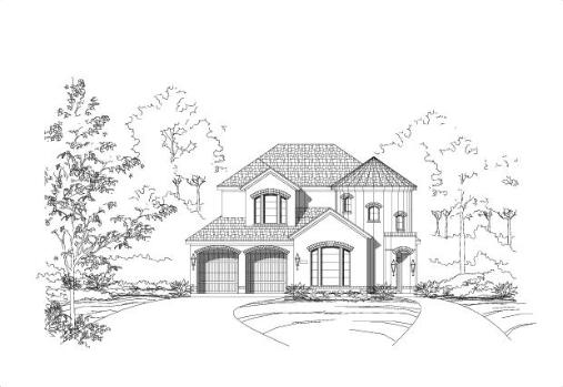 Large Image
