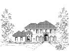 Elevation