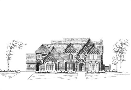 Large Image