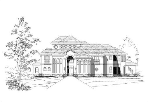 Large Image