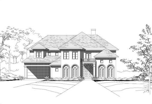 Large Image