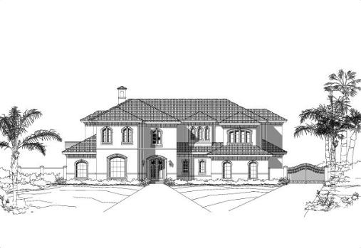 Large Image