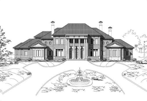 Large Image