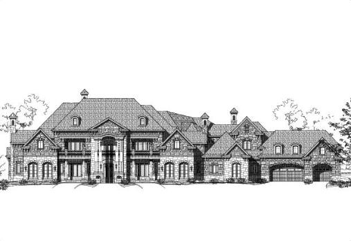 Large Image