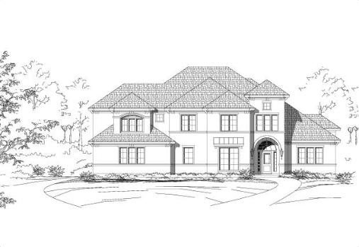 Large Image