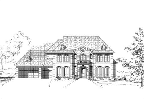 Large Image