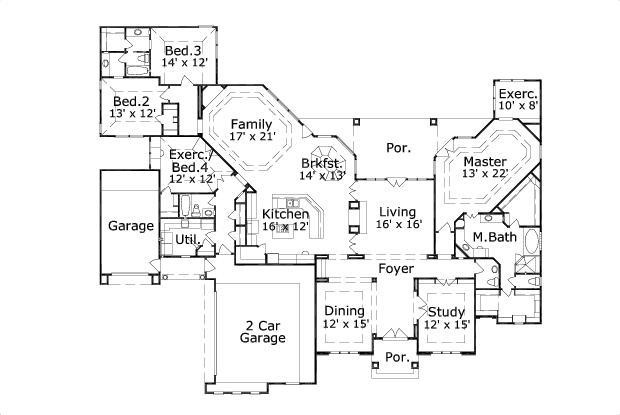Elevation