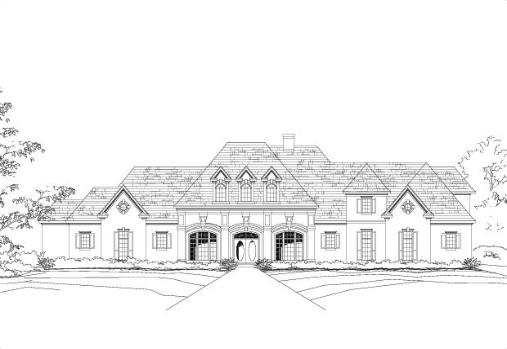 Large Image