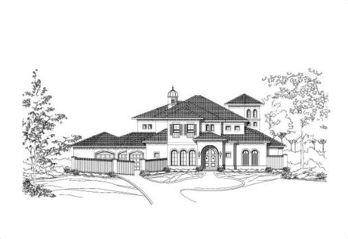 Large Image