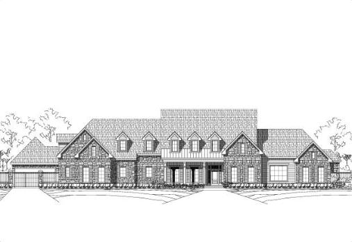 Large Image