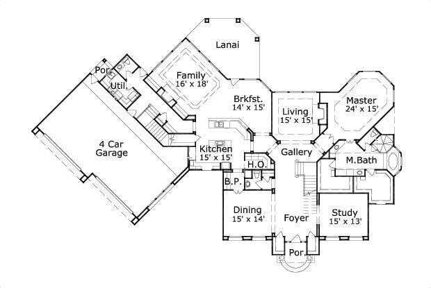 Elevation