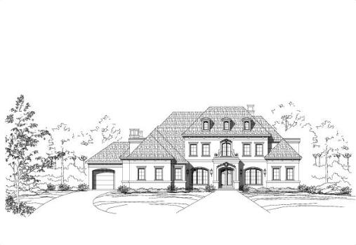 Large Image
