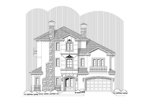 Large Image