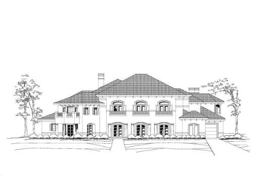 Large Image