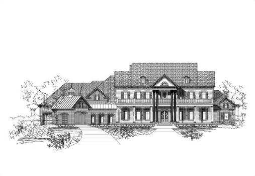 Large Image