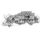 Elevation