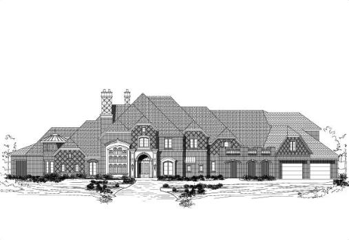 Large Image