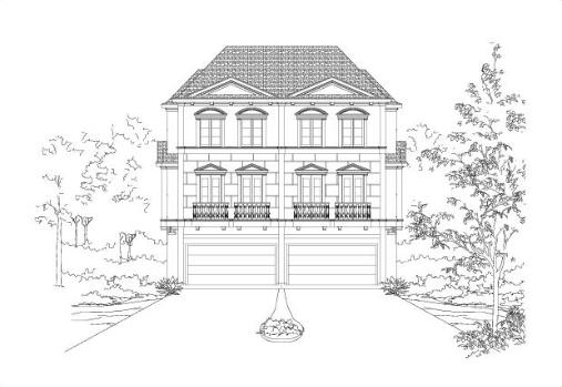 Large Image