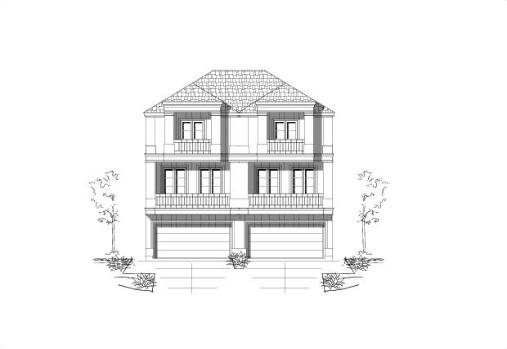Large Image