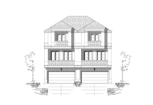 Large Image
