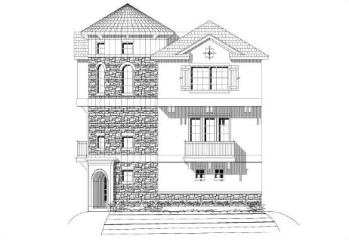 Large Image