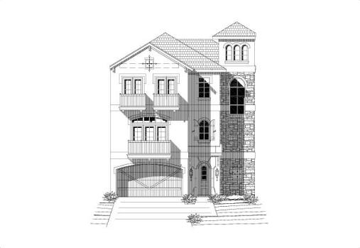 Large Image