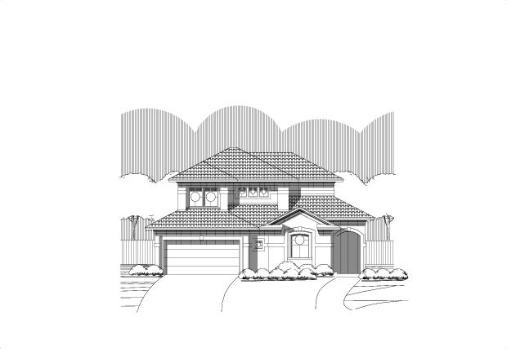 Large Image