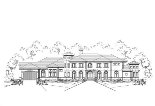 Large Image