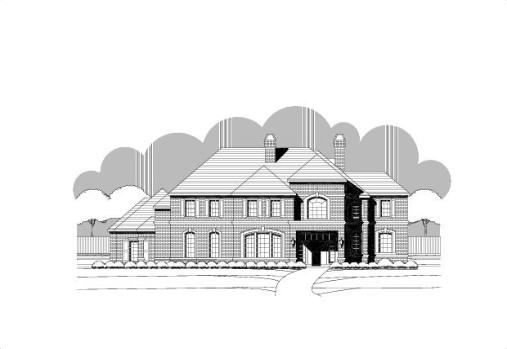 Large Image