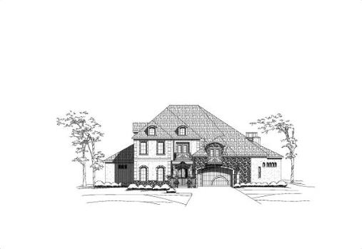 Large Image