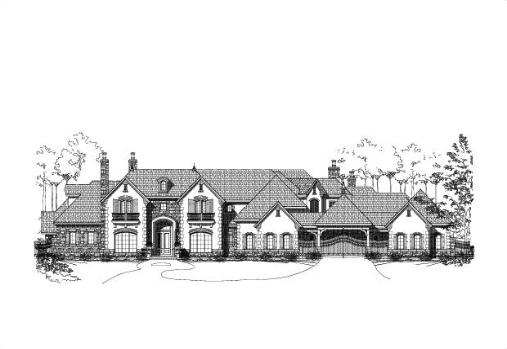 Large Image