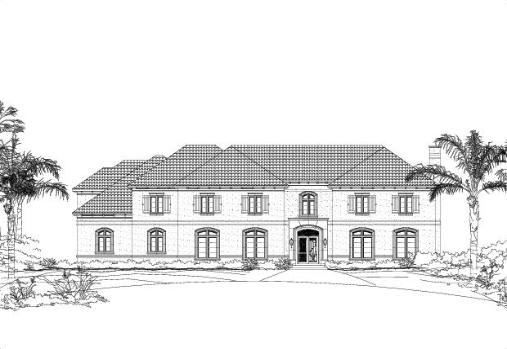 Large Image