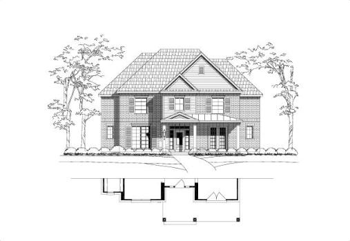 Large Image