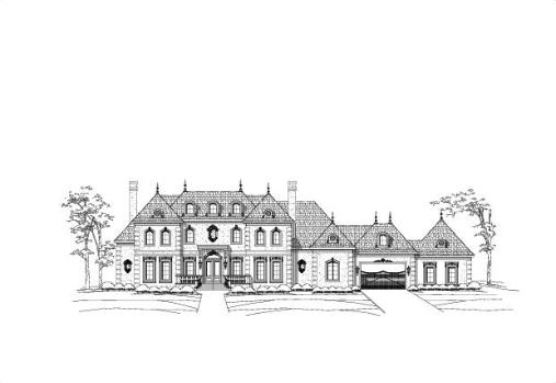 Large Image