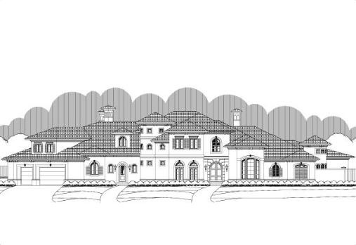 Large Image