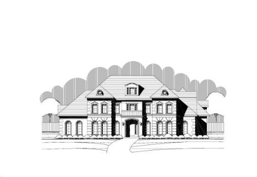 Large Image