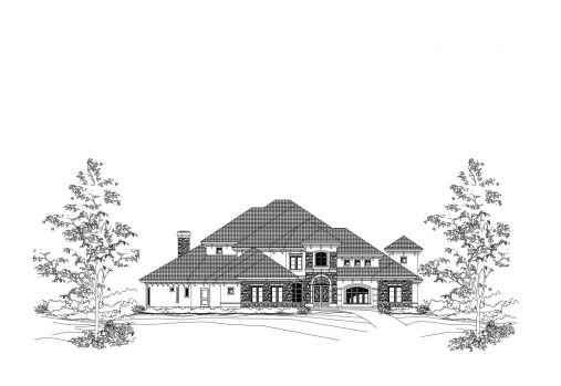 Large Image