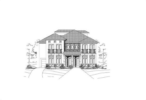 Large Image
