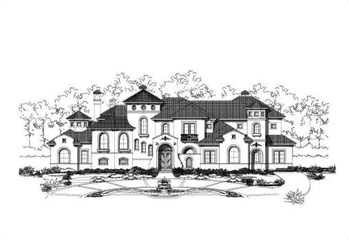 Large Image