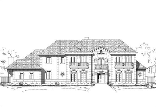 Large Image