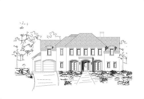 Large Image